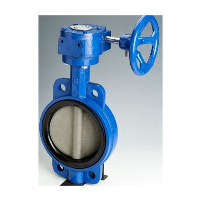 OEM Χυτοσίδηρο Operator Wormgear Double Flange EPDM/NBR Καθίσμα Ατσάλινου Χάλυβα Disc Lug Wafer Βαλβίδα πεταλούδας