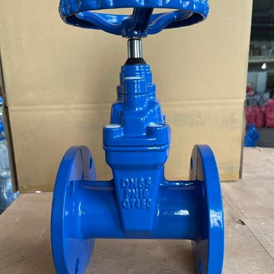 Υποστήριξη OEM CI/DI/WCB/SS Κλειδωτή πλαστική βαλβίδα πύλης με προσαρμοσμένο σχεδιασμό