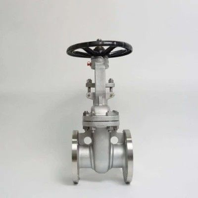 ANSI API 150Lb 300lb 3 ίντσες 4 ίντσες Y τύπου χειροκίνητη βαλβίδα πρίζας από ανοξείδωτο χάλυβα