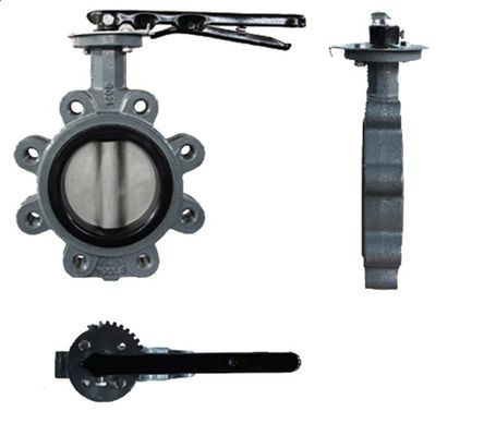API609 EPDM Εφοδιασμένη με PTFE χυτοσίδηρο τύπου βαλβίδας πεταλούδας για εξατομικευμένες ανάγκες