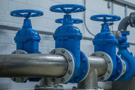 Τμήματα βαλβίδων ελαστικών θυρών για βαλβίδες και εξαρτήματα προσαρμοσμένα στις προδιαγραφές σας