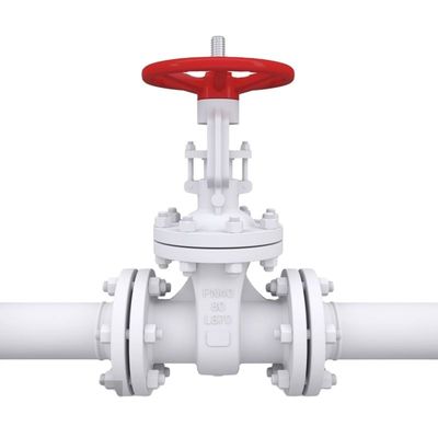 OEM Μεγέθος θύρας Προσαρμοσμένη υπηρεσία Pn16 χυτοσίδηρο ευέλικτο σίδηρο φλάντζας κυματισμού βαλβίδα ελέγχου