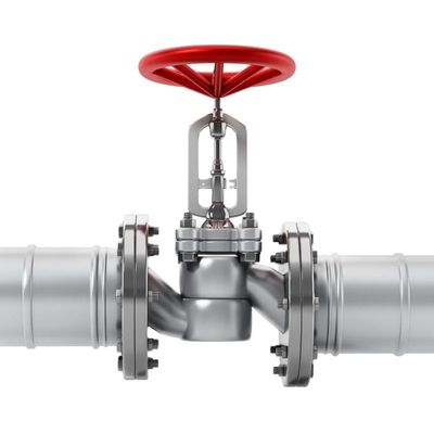 Ατσάλι από ανοξείδωτο χάλυβα Pn25 DN 50 Wafer Lift Single Plate Swing Check Valve για βαλβίδα αποχέτευσης