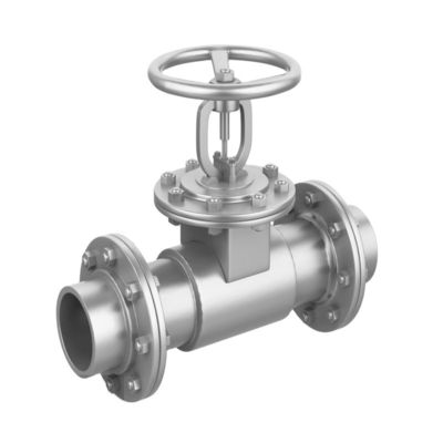 Ατσάλι από ανοξείδωτο χάλυβα Pn25 DN 50 Wafer Lift Single Plate Swing Check Valve για βαλβίδα αποχέτευσης