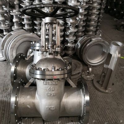 CF8 Φαλβίδα τερματικής πύλης από ανοξείδωτο χάλυβα για φιλτράρισμα βιομηχανικών συσσωρευτών τύπου Y