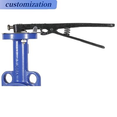 OEM Port Size Lever Ενεργοποιημένο πλήρως με PTFE επικαλυμμένο συγκεντρωτικό DIN BS Control Butterfly Valve