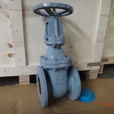 DIN3352 F4 Di GGG40/GGG50 Τελική φτερούγα μεταλλικής σφραγίδας βαλβίδας θύρας