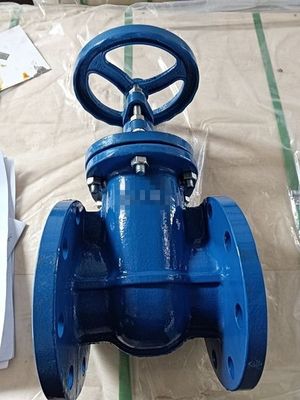 DIN3352 F4 Di GGG40/GGG50 Τελική φτερούγα μεταλλικής σφραγίδας βαλβίδας θύρας