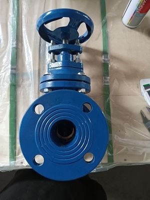 DIN3352 F4 Di GGG40/GGG50 Τελική φτερούγα μεταλλικής σφραγίδας βαλβίδας θύρας