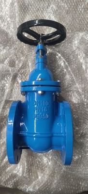 DIN3352 F4 Di GGG40/GGG50 Τελική φτερούγα μεταλλικής σφραγίδας βαλβίδας θύρας
