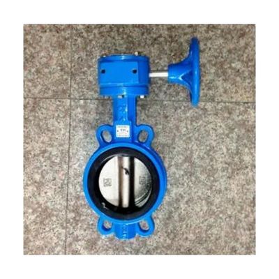 OEM Χυτοσίδηρο Operator Wormgear Double Flange EPDM/NBR Καθίσμα Ατσάλινου Χάλυβα Disc Lug Wafer Βαλβίδα πεταλούδας