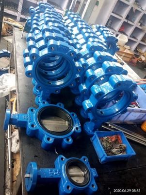 DN350 PN16 Βαλβίδα πεταλούδας EPDM ευέλικτη σιδηροπλακέτα φλάντζο υδρατμών για σύστημα νερού