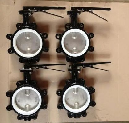 Προσαρμόσιμη βαλβίδα DN600 DI CI Σώμα SS Disc Lug Σκουπίδια Πεταλούδα για διάφορες βιομηχανίες