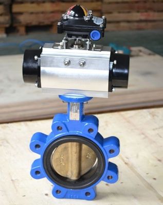 Προσαρμόσιμη βαλβίδα DN600 DI CI Σώμα SS Disc Lug Σκουπίδια Πεταλούδα για διάφορες βιομηχανίες