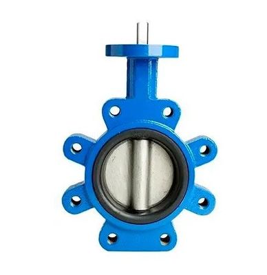 Προσαρμόσιμη βαλβίδα DN600 DI CI Σώμα SS Disc Lug Σκουπίδια Πεταλούδα για διάφορες βιομηχανίες