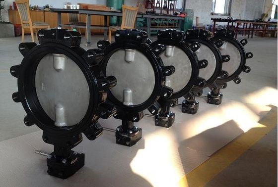 Προσαρμόσιμη βαλβίδα DN600 DI CI Σώμα SS Disc Lug Σκουπίδια Πεταλούδα για διάφορες βιομηχανίες
