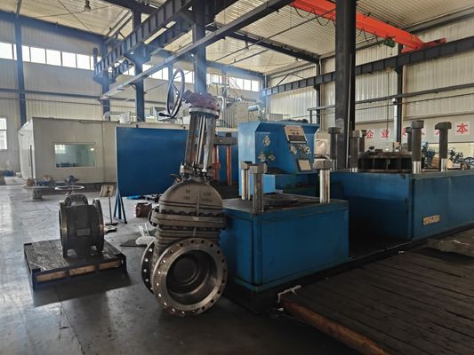DIN 3352 F4 Ελαστική βαλβίδα πλέγματος από χυτοσίδηρο για μέσο υψηλής θερμοκρασίας