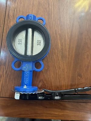 OEM Port Size Cast Iron Extension Butterfly Valve με υποστηρικτική υπηρεσία μετά την πώληση