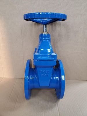 Υποστήριξη OEM CI/DI/WCB/SS Κλειδωτή πλαστική βαλβίδα πύλης με προσαρμοσμένο σχεδιασμό