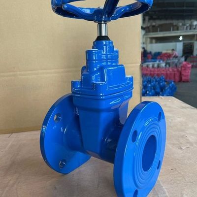 Υποστήριξη OEM CI/DI/WCB/SS Κλειδωτή πλαστική βαλβίδα πύλης με προσαρμοσμένο σχεδιασμό