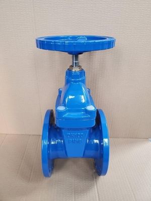 Υποστήριξη OEM CI/DI/WCB/SS Κλειδωτή πλαστική βαλβίδα πύλης με προσαρμοσμένο σχεδιασμό