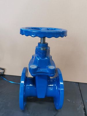 Υδάτινη μέση DN600 PPR Εγκαταστατική βαλβίδα πύλης με προσφερόμενη ευελιξία OEM
