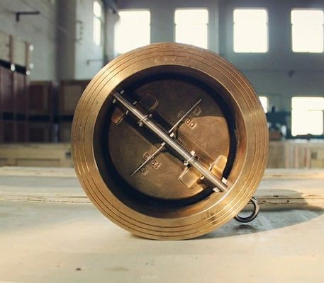 Δύο πλάκες ελεγχόμενης βαλβίδας από ανοξείδωτο χάλυβα / χυτοσίδηρο / χυτοσίδηρο με διάφραγμα