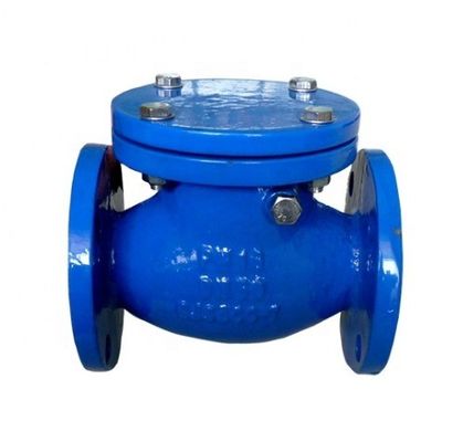 Τελεία αρθρώσεων φλάντζας BS Standard Swing Check Valve για εξατομικευμένες λύσεις OBM και άλλα