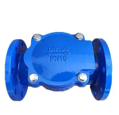 Τελεία αρθρώσεων φλάντζας BS Standard Swing Check Valve για εξατομικευμένες λύσεις OBM και άλλα