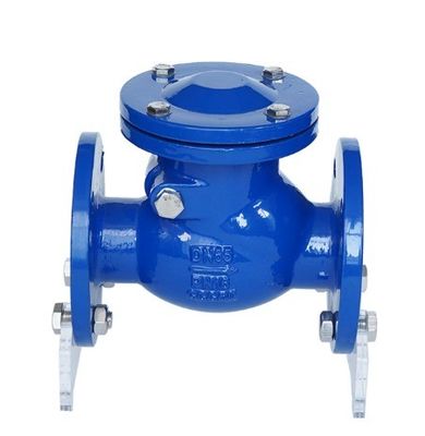 CI/DI/WCB/SS DN250 PN16 Τελική φλέβα φλέβας πυρκαγιάς με προσαρμόσιμο μέγεθος θύρας