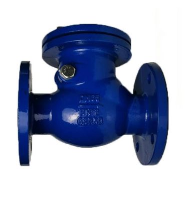 Προσαρμοσμένο μέγεθος θύρα ASME API ANSI Flange Bolted Bonnet 316 Stainless Steel Swing Check Valve