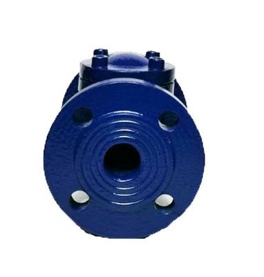 Προσαρμοσμένο μέγεθος θύρα ASME API ANSI Flange Bolted Bonnet 316 Stainless Steel Swing Check Valve