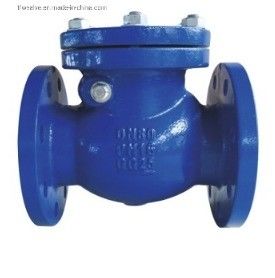 Προσαρμοσμένο μέγεθος θύρα ASME API ANSI Flange Bolted Bonnet 316 Stainless Steel Swing Check Valve