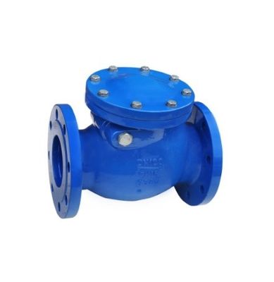 Προσαρμοσμένο μέγεθος θύρα ASME API ANSI Flange Bolted Bonnet 316 Stainless Steel Swing Check Valve