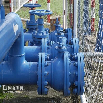 Ανθεκτική στη θερμοκρασία H44W-16P CF8M βαλβίδα ελέγχου από ανοξείδωτο χάλυβα για σύνδεση με φλάντζες