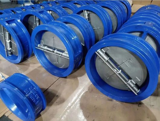 Δυνατό χυτοσίδηρο Wafer τύπου διπλή πλάκα διπλή πόρτα βαλβίδες ελέγχου εντός του προϋπολογισμού σας
