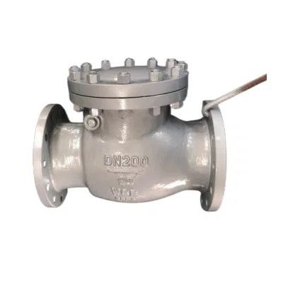 4 ιντσών CF8 WCB Carbon Steel Flange Swing Check Valve Πλήρες πιστοποιητικό και εγχειρίδιο